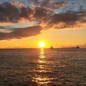 Meet your Posher, Olga